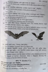 SEE Science Question Paper Class 10